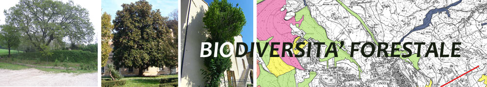 Biodiversità Forestale