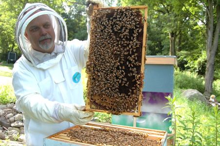 06/07/2021: Convegno-Webinar su "L’Apicoltura, preziosa risorsa per ambiente e agricoltura – Premio qualità miele marchigiano 2020"