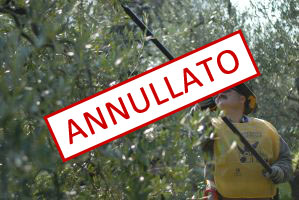 ANNULLATO 24/03/2020: 6° Corso avanzato potatura olivo 2020