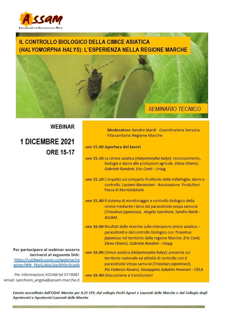 01/12/2021: Webinar “Il controllo biologico della cimice asiatica (Halyomorpha halys): l’esperienza nella regione Marche”