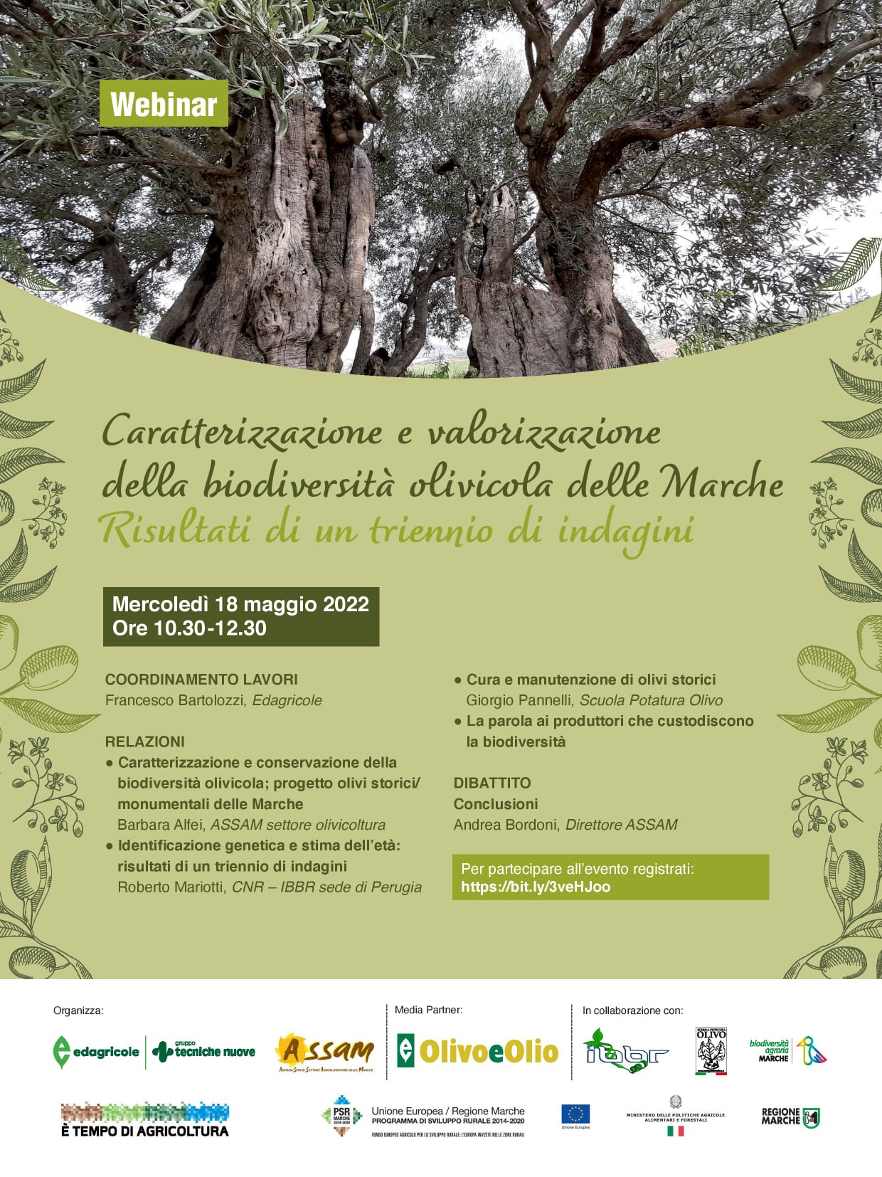 Presentati i  risultati del  progetto “Olivi monumentali delle Marche” in occasione del webinar “Caratterizzazione e valorizzazione della biodiversità olivicola: risultati di un triennio di indagini”, il 18 maggio 2022