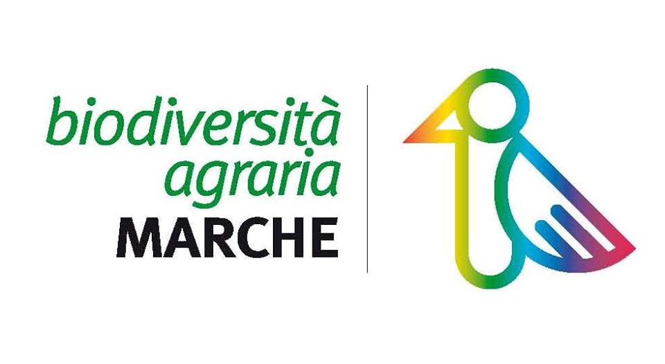 Il Consiglio Nazionale di Slow Food Italia ad Urbino il 13, 14 e 15 marzo 2015