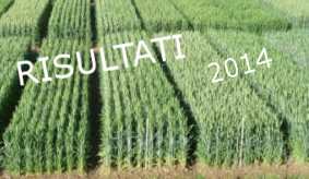 Usciti i risultati qualitativi/reologici su farine bio 2015