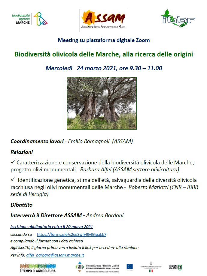 News Meeting Biodiversita olivicola 24032021